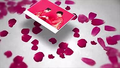唯美浪漫的花瓣红色结婚相册AE模板视频的预览图